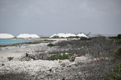 Bonaire-Zoutwinning