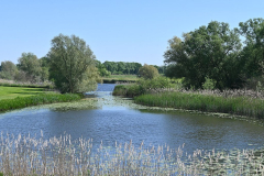 De-Vecht