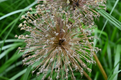 Kunstbloem