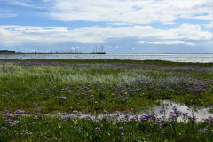 Terschelling