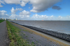 Westerschelde