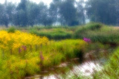 Inge-Boogaards-1