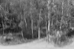 Marianne-2