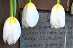 Terug-in-de-Tijd-2