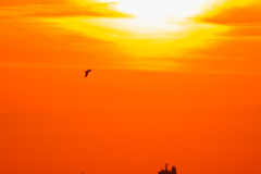 Katwijk-aan-Zee-6