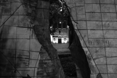 Quirina-Ledenpagina-Fotofun-12