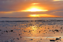voormalige-booreiland-in-de-Dollard-bij-Dyksterhusen-8-1