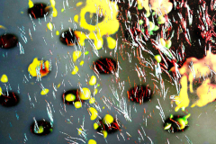 20250121_150436