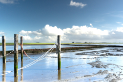 FotoFun-2024-Workshop-Landschapsfotografie-Dyksterhusen-23-van-62