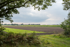 Rondje-Klencke-Oosterhesselen_-10