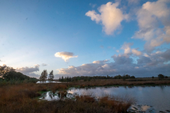 Bep IJsselstein