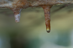 Meindert-Dost-Versteend-Water