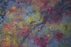 Bart-Verdonk-Aquarel-op-een-oliedrum