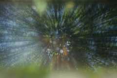 Everdina-Boersma-ICM