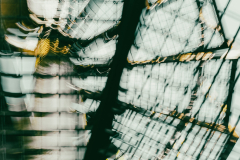 Nicolette-Vos-Leaves-and-Stripes