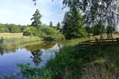 Alie Kuper Sellingen
