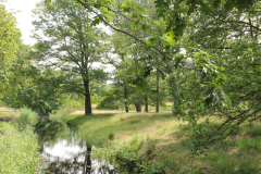 Dina Wilms Sellingen