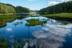 Hennie Haan Landschap