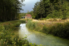 Hennie Huizing