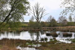 Olle Versteeg Bargerveen