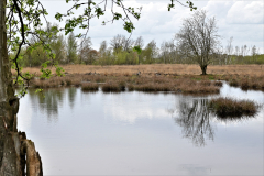 Olle Versteeg Landschap Bargerveen