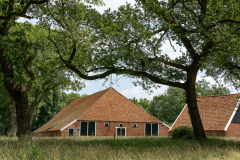 Ton Sassen Boerderij bij Ter Borg